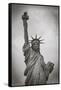 Usa, New York, New York City, Statue of Liberty National Monument-Michele Falzone-Framed Stretched Canvas