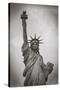 Usa, New York, New York City, Statue of Liberty National Monument-Michele Falzone-Stretched Canvas