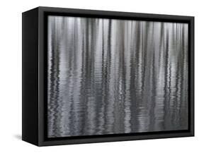 USA, New York State. Abstract reflection of winter trees.-Chris Murray-Framed Stretched Canvas
