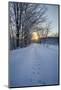 USA, New York State. Animal tracks in snow, Erie Canal.-Chris Murray-Mounted Photographic Print