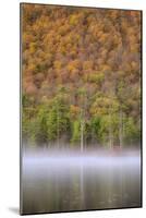 USA, New York State. Autumn foliage and mist on Labrador Pond.-Chris Murray-Mounted Photographic Print