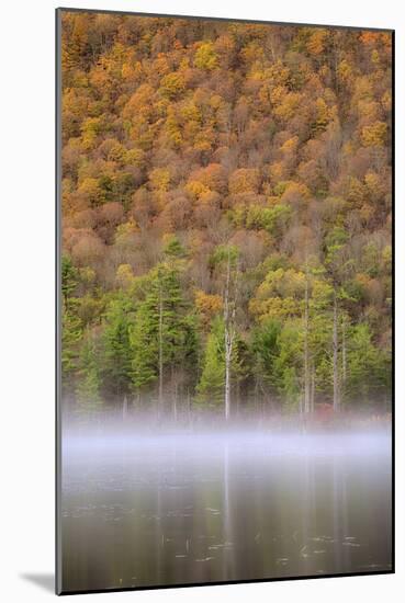 USA, New York State. Autumn foliage and mist on Labrador Pond.-Chris Murray-Mounted Photographic Print