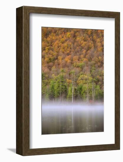 USA, New York State. Autumn foliage and mist on Labrador Pond.-Chris Murray-Framed Photographic Print