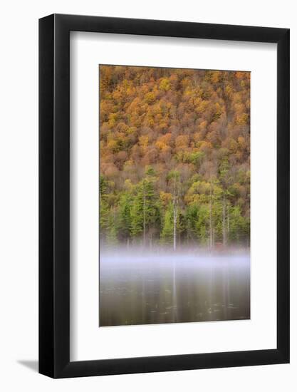 USA, New York State. Autumn foliage and mist on Labrador Pond.-Chris Murray-Framed Photographic Print