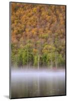 USA, New York State. Autumn foliage and mist on Labrador Pond.-Chris Murray-Mounted Photographic Print