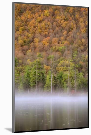 USA, New York State. Autumn foliage and mist on Labrador Pond.-Chris Murray-Mounted Photographic Print