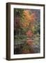 USA, New York State. Autumn trees reflected in Oxbow Lake Outlet, Adirondack Mountains-Chris Murray-Framed Photographic Print