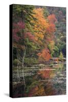 USA, New York State. Autumn trees reflected in Oxbow Lake Outlet, Adirondack Mountains-Chris Murray-Stretched Canvas