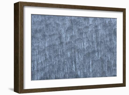 USA, New York State. Hillside of winter trees.-Chris Murray-Framed Photographic Print