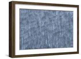 USA, New York State. Hillside of winter trees.-Chris Murray-Framed Photographic Print