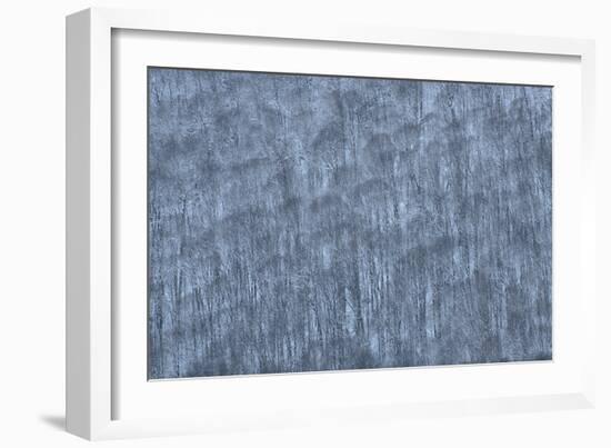 USA, New York State. Hillside of winter trees.-Chris Murray-Framed Photographic Print