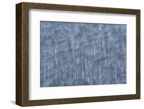 USA, New York State. Hillside of winter trees.-Chris Murray-Framed Photographic Print