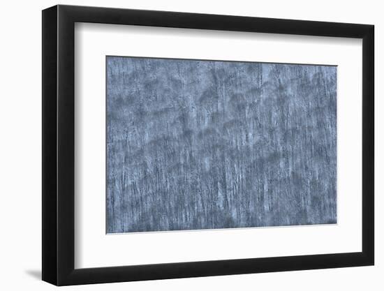 USA, New York State. Hillside of winter trees.-Chris Murray-Framed Photographic Print