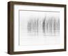 USA, New York State. River reeds, St. Lawrence River, Thousand Islands.-Chris Murray-Framed Photographic Print