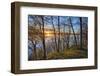 USA, New York State. Spring sunset through the trees, St. Lawrence River, Thousand Islands.-Chris Murray-Framed Photographic Print