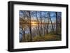 USA, New York State. Spring sunset through the trees, St. Lawrence River, Thousand Islands.-Chris Murray-Framed Photographic Print