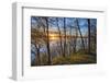 USA, New York State. Spring sunset through the trees, St. Lawrence River, Thousand Islands.-Chris Murray-Framed Photographic Print