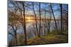 USA, New York State. Spring sunset through the trees, St. Lawrence River, Thousand Islands.-Chris Murray-Mounted Photographic Print