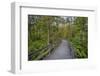 USA, New York State. The boardwalk that winds through the wetlands of Labrador Pond-Chris Murray-Framed Photographic Print