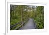 USA, New York State. The boardwalk that winds through the wetlands of Labrador Pond-Chris Murray-Framed Premium Photographic Print