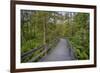 USA, New York State. The boardwalk that winds through the wetlands of Labrador Pond-Chris Murray-Framed Premium Photographic Print