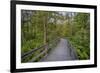 USA, New York State. The boardwalk that winds through the wetlands of Labrador Pond-Chris Murray-Framed Premium Photographic Print