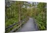 USA, New York State. The boardwalk that winds through the wetlands of Labrador Pond-Chris Murray-Mounted Premium Photographic Print