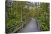 USA, New York State. The boardwalk that winds through the wetlands of Labrador Pond-Chris Murray-Stretched Canvas
