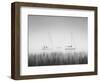 USA, New York State. Three sailboats, St. Lawrence River, Thousand Islands.-Chris Murray-Framed Photographic Print