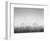 USA, New York State. Three sailboats, St. Lawrence River, Thousand Islands.-Chris Murray-Framed Photographic Print