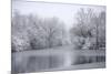 USA, New York State. Winter snowfall on the Erie Canal, Cedar Bay Park.-Chris Murray-Mounted Premium Photographic Print