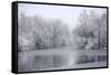 USA, New York State. Winter snowfall on the Erie Canal, Cedar Bay Park.-Chris Murray-Framed Stretched Canvas