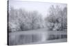 USA, New York State. Winter snowfall on the Erie Canal, Cedar Bay Park.-Chris Murray-Stretched Canvas