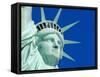 USA, New York, Statue of Liberty-Alan Copson-Framed Stretched Canvas