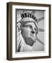 USA, New York, Statue of Liberty-Alan Copson-Framed Photographic Print