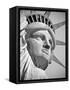 USA, New York, Statue of Liberty-Alan Copson-Framed Stretched Canvas