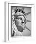 USA, New York, Statue of Liberty-Alan Copson-Framed Premium Photographic Print