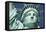 Usa, New York, Statue of Liberty-kropic-Framed Stretched Canvas