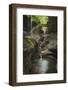 USA, New York. Waterfalls along the Gorge Trail, Watkins Glen State Park.-Alan Majchrowicz-Framed Photographic Print