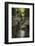 USA, New York. Waterfalls along the Gorge Trail, Watkins Glen State Park.-Alan Majchrowicz-Framed Photographic Print