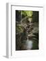 USA, New York. Waterfalls along the Gorge Trail, Watkins Glen State Park.-Alan Majchrowicz-Framed Photographic Print