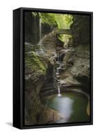 USA, New York. Waterfalls along the Gorge Trail, Watkins Glen State Park.-Alan Majchrowicz-Framed Stretched Canvas