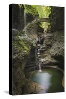 USA, New York. Waterfalls along the Gorge Trail, Watkins Glen State Park.-Alan Majchrowicz-Stretched Canvas