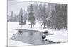 USA, Nez Perce River, Yellowstone National Park, Wyoming. Bison in a snowstorm along the Nez Perce.-Deborah Winchester-Mounted Photographic Print