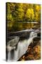 USA, North Carolina, Brevard. Landscape in Pisgah National Forest-Jaynes Gallery-Stretched Canvas