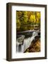 USA, North Carolina, Brevard. Landscape in Pisgah National Forest-Jaynes Gallery-Framed Photographic Print
