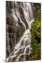 USA, North Carolina, Brevard. Waterfall in Dupont State Forest-Jaynes Gallery-Mounted Premium Photographic Print