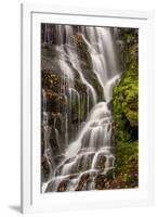 USA, North Carolina, Brevard. Waterfall in Dupont State Forest-Jaynes Gallery-Framed Photographic Print