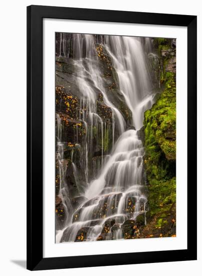 USA, North Carolina, Brevard. Waterfall in Dupont State Forest-Jaynes Gallery-Framed Photographic Print