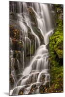 USA, North Carolina, Brevard. Waterfall in Dupont State Forest-Jaynes Gallery-Mounted Photographic Print